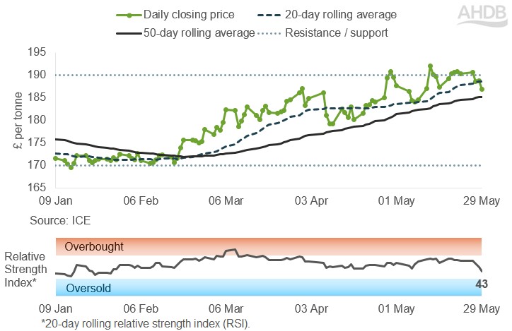 Line graph of UK feed futures Nov-26 contract prices over the past six months.